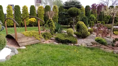 Usługi ogrodnicze- Paweł Lewandowski